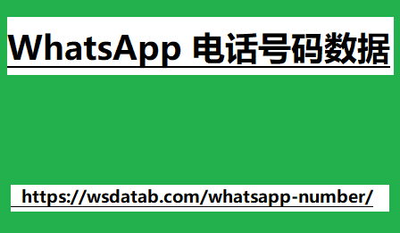 WhatsApp 电话号码数据