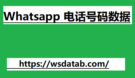 Whatsapp 电话号码数据